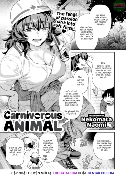 Truyenhentai18.Net - Đọc hentai Carnivorous Animal Online